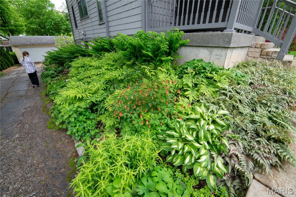 Tuxedo Park - Residential