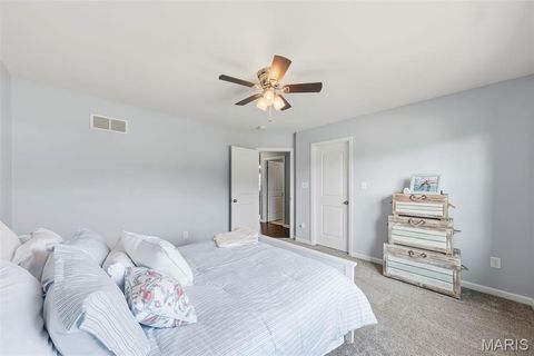 Tiny photo for 327 Hyde Park Avenue, Wentzville, MO 63385 (MLS # 26042614)