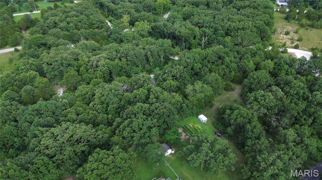 Lake St Clair - Land