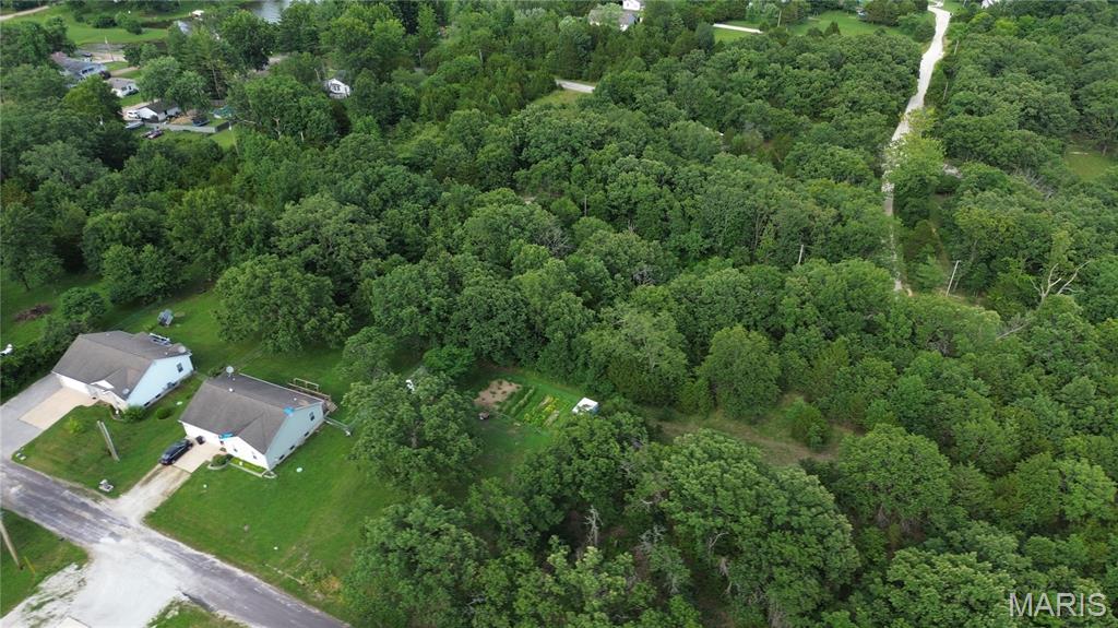 Lake St Clair - Land