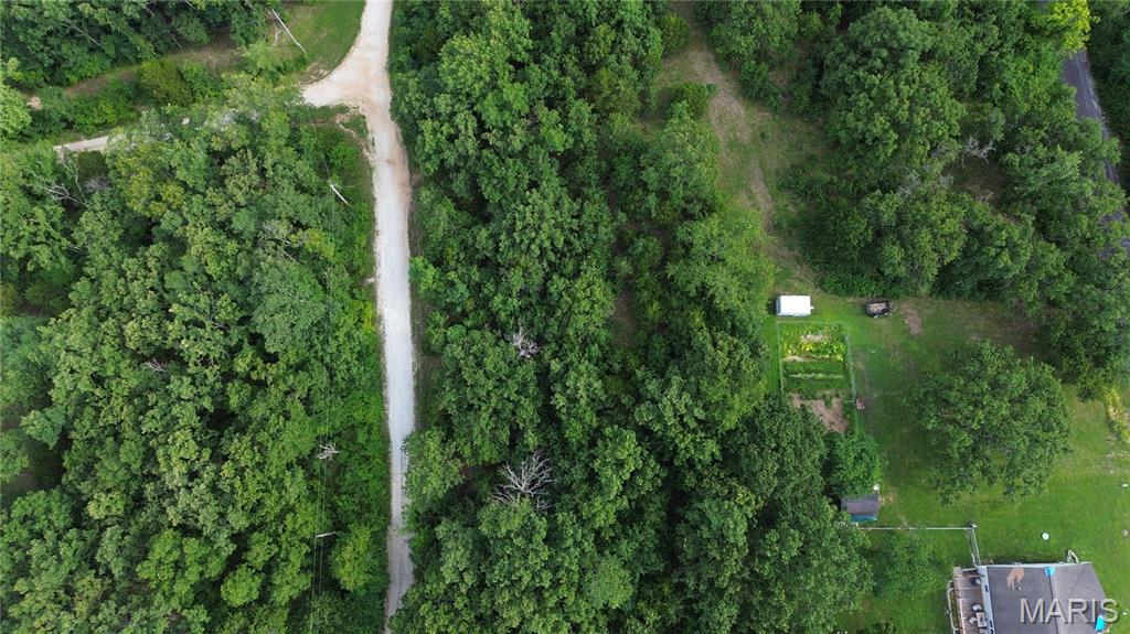 Lake St Clair - Land