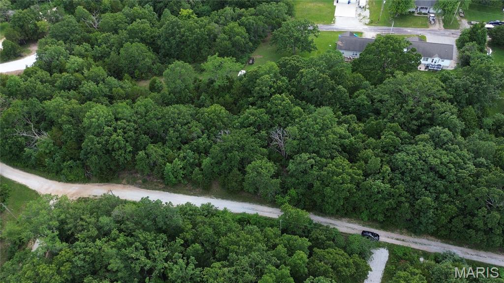 Lake St Clair - Land