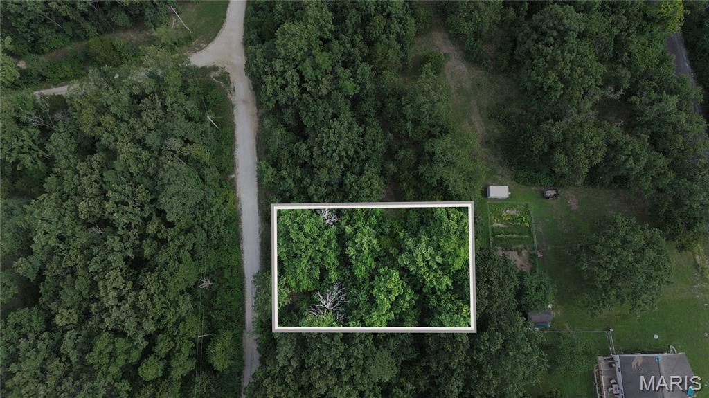 Lake St Clair - Land