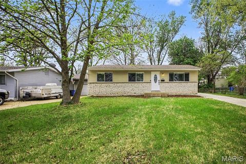 Photo of 1180 Kostka Lane, Florissant, MO 63031 (MLS # 26021902)