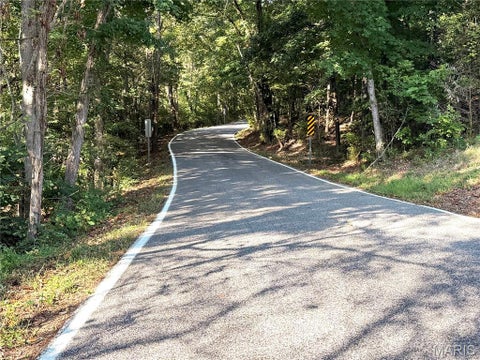 Tiny photo for 19017 Old Wild Turkey Lane, Wildwood, MO 63069 (MLS # 26060131)
