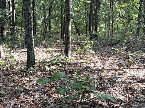 Tiny photo for 19017 Old Wild Turkey Lane, Wildwood, MO 63069 (MLS # 26060131)