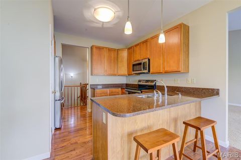 Tiny photo for 160 New Holland Drive, Chesterfield, MO 63017 (MLS # 25076815)