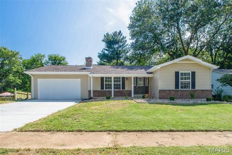 1358 Green Mist Drive Fenton MO 63026