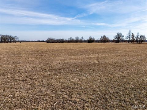 Tiny photo for 26523 Route N, Monroe City, MO 63456 (MLS # 26008964)