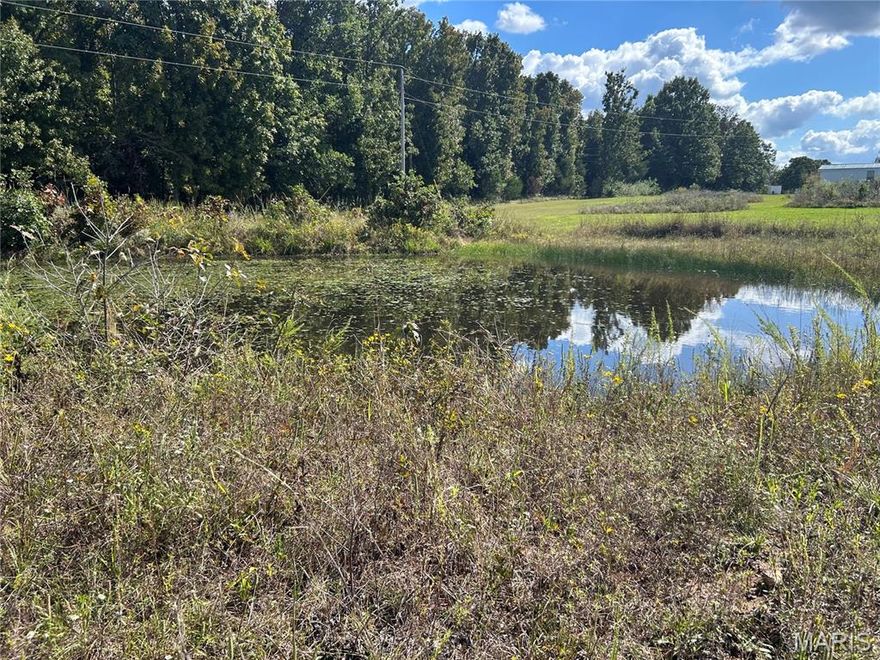 Enjoy peaceful country living with this spacious 4-bedroom, 2-bath mobile home set on 3 beautiful, level acres. The property is fully chain-link fenced and features a large deck, gazebo, and two storage buildings perfect for outdoor relaxation and hobbies. The land includes fruit trees, a lovely pond, and plenty of open space for gardening or recreation. A hard-wired Generac generator ensures reliable power year-round. Located on highway frontage for easy access, this home is ideally situated just 6 miles from Fort Leonard Wood, 20 miles from Rolla, and only a short drive from the Big Piney River, Spring Creeks blue-ribbon trout stream, and thousands of acres of Mark Twain National Forest—a dream spot for outdoor enthusiasts! This property offers endless possibilities—perfect for a family homestead, a weekend getaway, or an income producing investment.