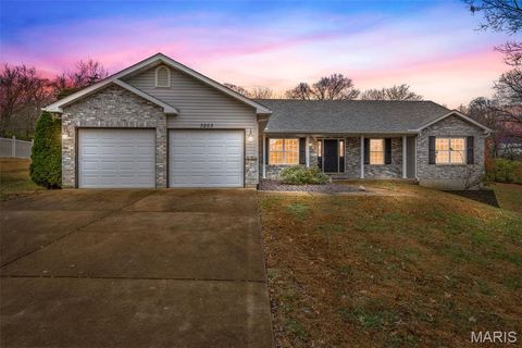3203 Cole Meadows Court Festus MO 63028