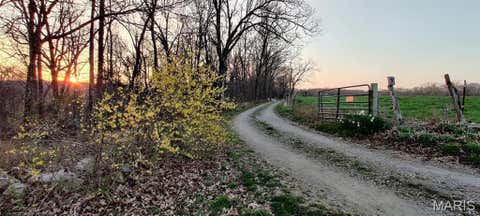 Tiny photo for 8253 Jackson School Road, Bloomsdale, MO 63627 (MLS # 26047724)