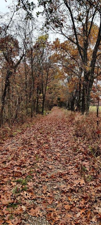 Tiny photo for 8253 Jackson School Road, Bloomsdale, MO 63627 (MLS # 26047724)