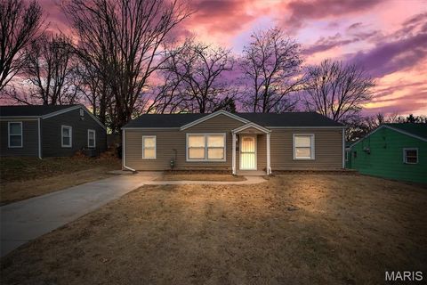Tiny photo for 9866 Dennis Drive, St Louis, MO 63136 (MLS # 25082643)