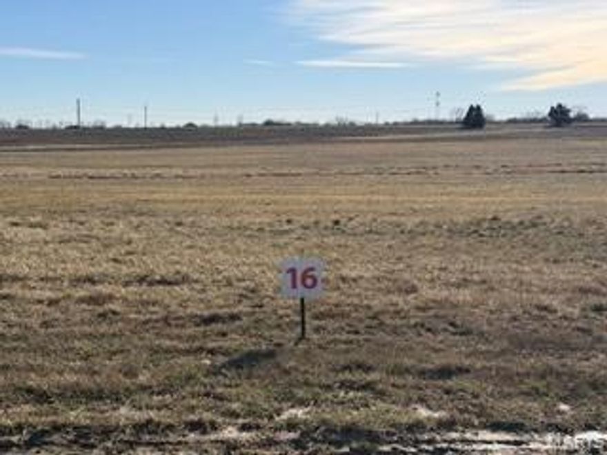 Build your Next Home on one of these Beautiful 3+/- acre lots, located just minutes away from St. Paul, MO off Freymuth Rd in the newly developed Quail Ridge Subdivision! These gently rolling lots, which overlook Agricultural fields, feature Electric & Fiber Internet, and they allow you to bring your own Builder. Just 4.5 miles away from I-70 at Lake Saint Louis, this development makes for an easy commute. Come take a look before these lots are all gone! Additional Rooms: In Platted Subdv.