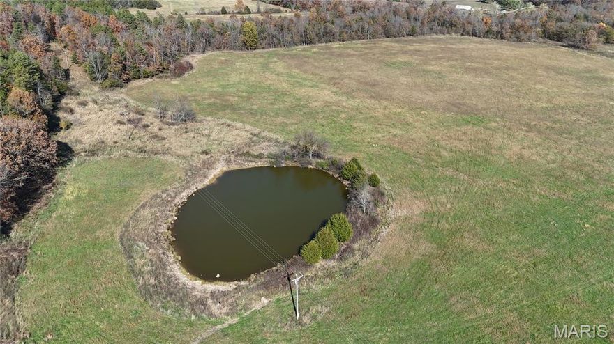 check out the prime piece of developed land 228 acres mixed woods and pasture roughly 40/60 split. this property is perimeter fenced and cross fenced , there is 200 amp single phase electric and a deep well with a freeze proof waterer.
the pasture ground has some of the richest soil in the county producing a bountiful nutrient rich hay crop good for two cuttings a season dependent on grazing. this property is part of a cattle farm that is not adjoining but is less than a quarter mile up county rd. 700 (see MLS 25082243). this property is all set with good infrastructure to come in and set up a camper site or build your custom home or cabin, the possibilities are endless. Bedsides the superb  hunting and fishing on this land there are many attractions close by, you have the Black River, Johnson's Shut-Ins state park, The Current river Conservation area and clear water lake just to name a few. Make an appointment and come check it out, it will not disappoint . also see MLS 25082673 which includes both properties.