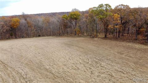 Tiny photo for 6 Polston Ln, Marthasville, MO 63357 (MLS # 25077472)