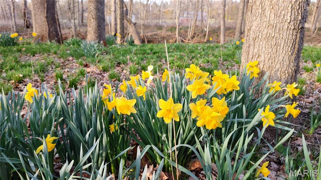 Liberty Station - Residential