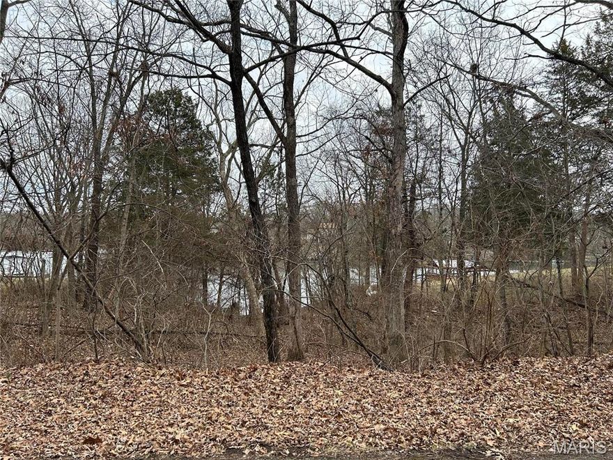 Over a half-acre of land makes up these 2 lots with a view of Lake Summer Set. Great building potential as they are pretty much level with a slight slope, perfect for a large, raised ranch home. Summer Set is an awesome community with 3 lakes a community beach, a large campground, beautiful homes, great fishing on all 3 lakes, in recent years an excellent fireworks display for 4th of July, tremendous neighborly connections and community involvement, gated entrance for added security, a truly great place to live and raise a family. These lots are located on one of the newly paved roads. We have community sewer and water systems operated and maintained by the Jefferson County Public Sewer District. It's all here!