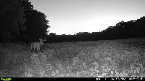Tiny photo for 0 Walnut Hill Ln. (36.31+/- Acres), Elsberry, MO 63343 (MLS # 26046398)