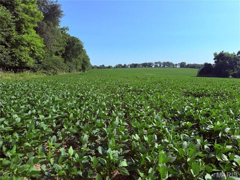 Tiny photo for 0 Walnut Hill Ln. (36.31+/- Acres), Elsberry, MO 63343 (MLS # 26046398)
