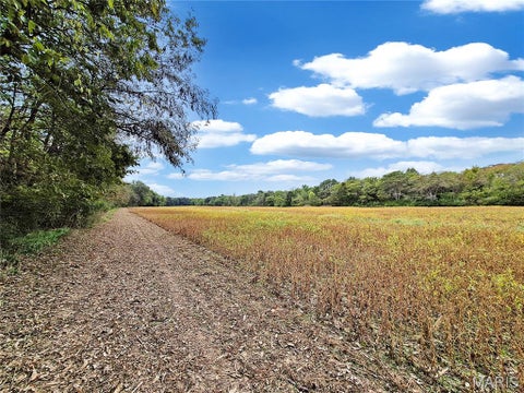 Tiny photo for 0 Walnut Hill Ln. (36.31+/- Acres), Elsberry, MO 63343 (MLS # 26046398)