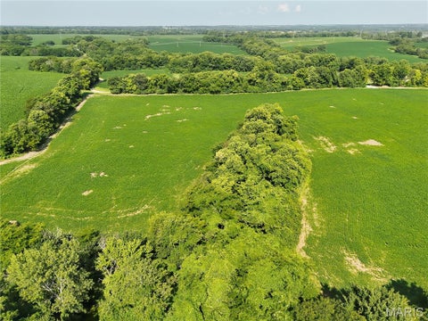 Tiny photo for 0 Walnut Hill Ln. (36.31+/- Acres), Elsberry, MO 63343 (MLS # 26046398)