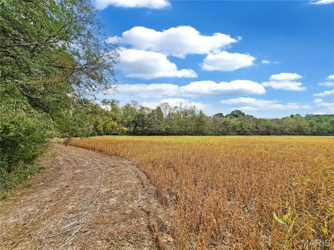 Tiny photo for 0 Walnut Hill Ln. (36.31+/- Acres), Elsberry, MO 63343 (MLS # 26046398)