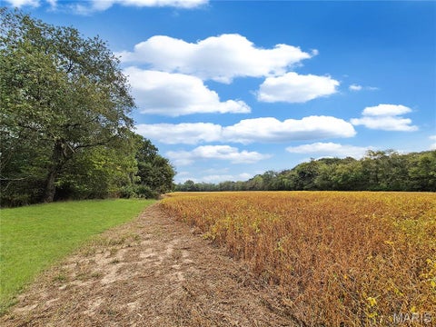 Tiny photo for 0 Walnut Hill Ln. (36.31+/- Acres), Elsberry, MO 63343 (MLS # 26046398)
