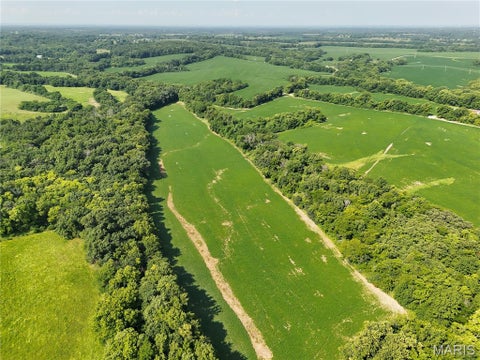Tiny photo for 0 Walnut Hill Ln. (36.31+/- Acres), Elsberry, MO 63343 (MLS # 26046398)