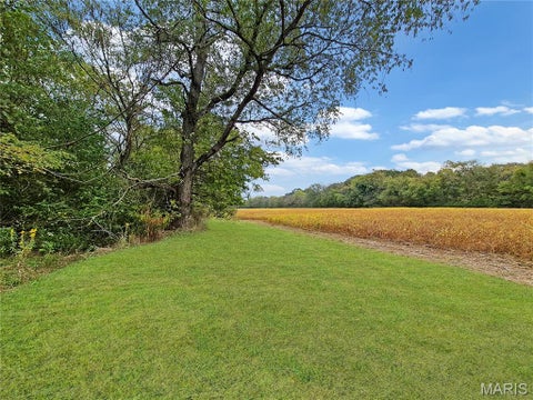 Tiny photo for 0 Walnut Hill Ln. (36.31+/- Acres), Elsberry, MO 63343 (MLS # 26046398)