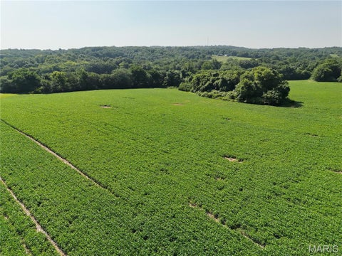 Tiny photo for 0 Walnut Hill Ln. (36.31+/- Acres), Elsberry, MO 63343 (MLS # 26046398)