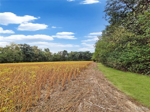 Tiny photo for 0 Walnut Hill Ln. (36.31+/- Acres), Elsberry, MO 63343 (MLS # 26046398)