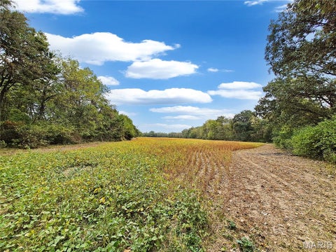 Tiny photo for 0 Walnut Hill Ln. (36.31+/- Acres), Elsberry, MO 63343 (MLS # 26046398)