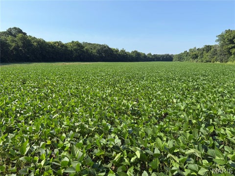 Tiny photo for 0 Walnut Hill Ln. (36.31+/- Acres), Elsberry, MO 63343 (MLS # 26046398)