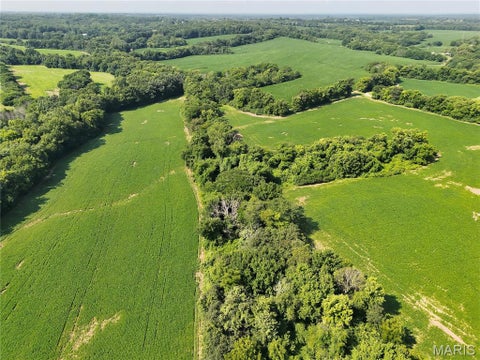 Tiny photo for 0 Walnut Hill Ln. (36.31+/- Acres), Elsberry, MO 63343 (MLS # 26046398)