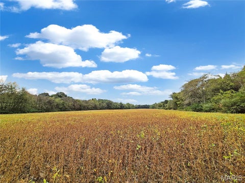 Tiny photo for 0 Walnut Hill Ln. (36.31+/- Acres), Elsberry, MO 63343 (MLS # 26046398)