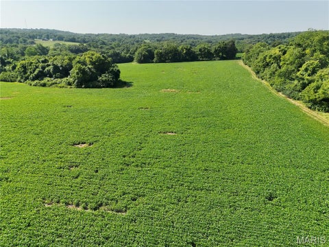 Tiny photo for 0 Walnut Hill Ln. (36.31+/- Acres), Elsberry, MO 63343 (MLS # 26046398)