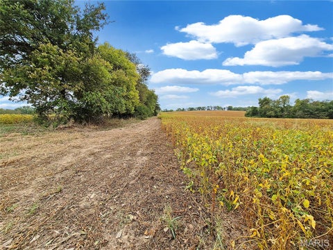 Tiny photo for 0 Walnut Hill Ln. (36.31+/- Acres), Elsberry, MO 63343 (MLS # 26046398)