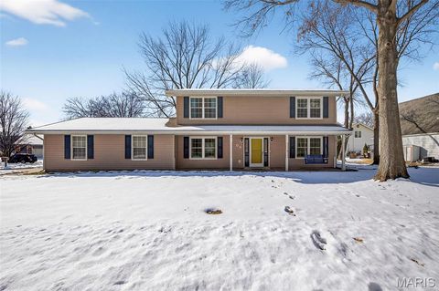 64 Patrice Terrace Lake St Louis MO 63367