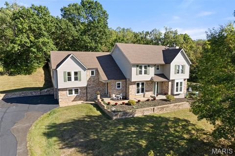 1102 Lakeview Drive Pacific MO 63069