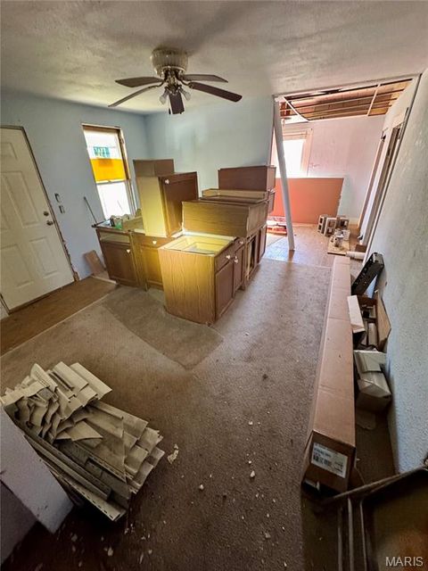 Tiny photo for 401 Main Street, Leadwood, MO 63653 (MLS # 25069327)