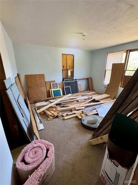 Tiny photo for 401 Main Street, Leadwood, MO 63653 (MLS # 25069327)