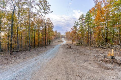 Tiny photo for 000 Hwy JJ (Tract 10), Marquand, MO 63655 (MLS # 26030384)