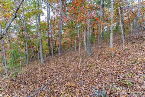 Tiny photo for 000 Hwy JJ (Tract 10), Marquand, MO 63655 (MLS # 26030384)