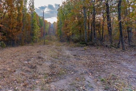Tiny photo for 000 Hwy JJ (Tract 10), Marquand, MO 63655 (MLS # 26030384)