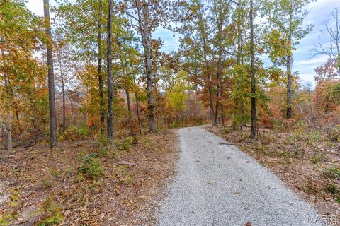Tiny photo for 000 Hwy JJ (Tract 10), Marquand, MO 63655 (MLS # 26030384)
