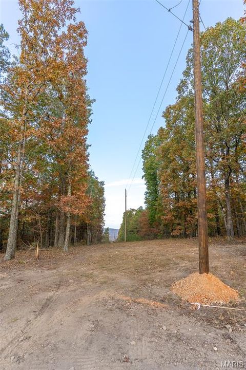 Tiny photo for 000 Hwy JJ (Tract 10), Marquand, MO 63655 (MLS # 26030384)
