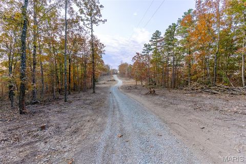 Tiny photo for 000 Hwy JJ (Tract 10), Marquand, MO 63655 (MLS # 26030384)
