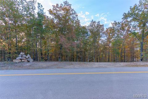 Tiny photo for 000 Hwy JJ (Tract 10), Marquand, MO 63655 (MLS # 26030384)